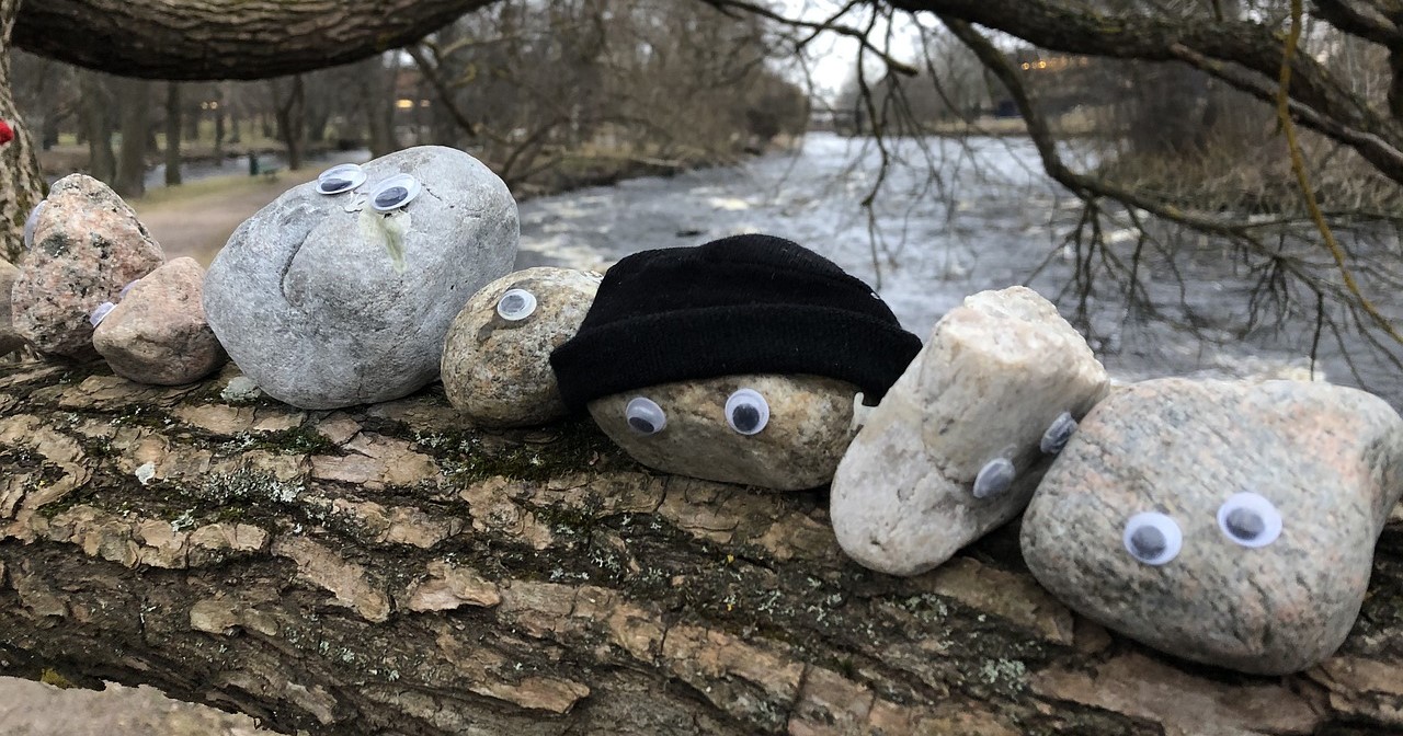 Out door activities at Rock Bottom pet rock care service