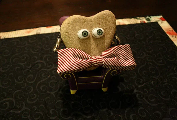 Rocky's first day at Rock Bottom pet rock care service