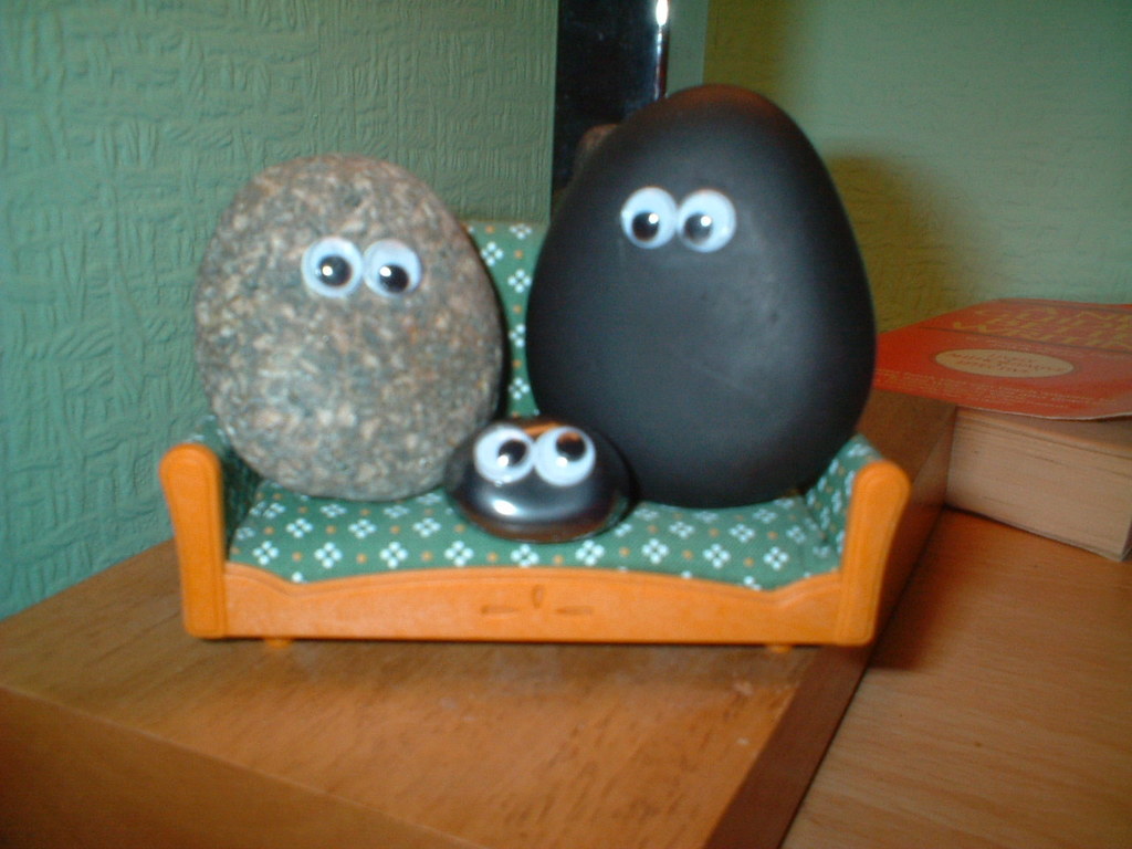 Home Visits from Rock Bottom pet rock care service.